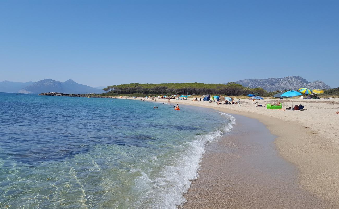 Foghe Pizzinna'in fotoğrafı kahverengi kum yüzey ile