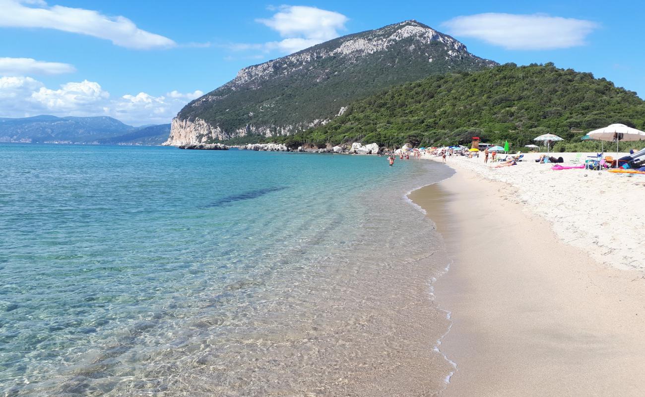 Spiaggia di Cartoe'in fotoğrafı i̇nce bej kum yüzey ile