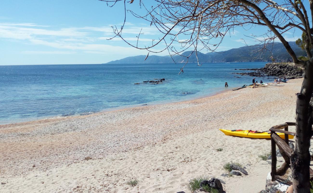 Cala Gonone II'in fotoğrafı bej kum ve çakıl yüzey ile