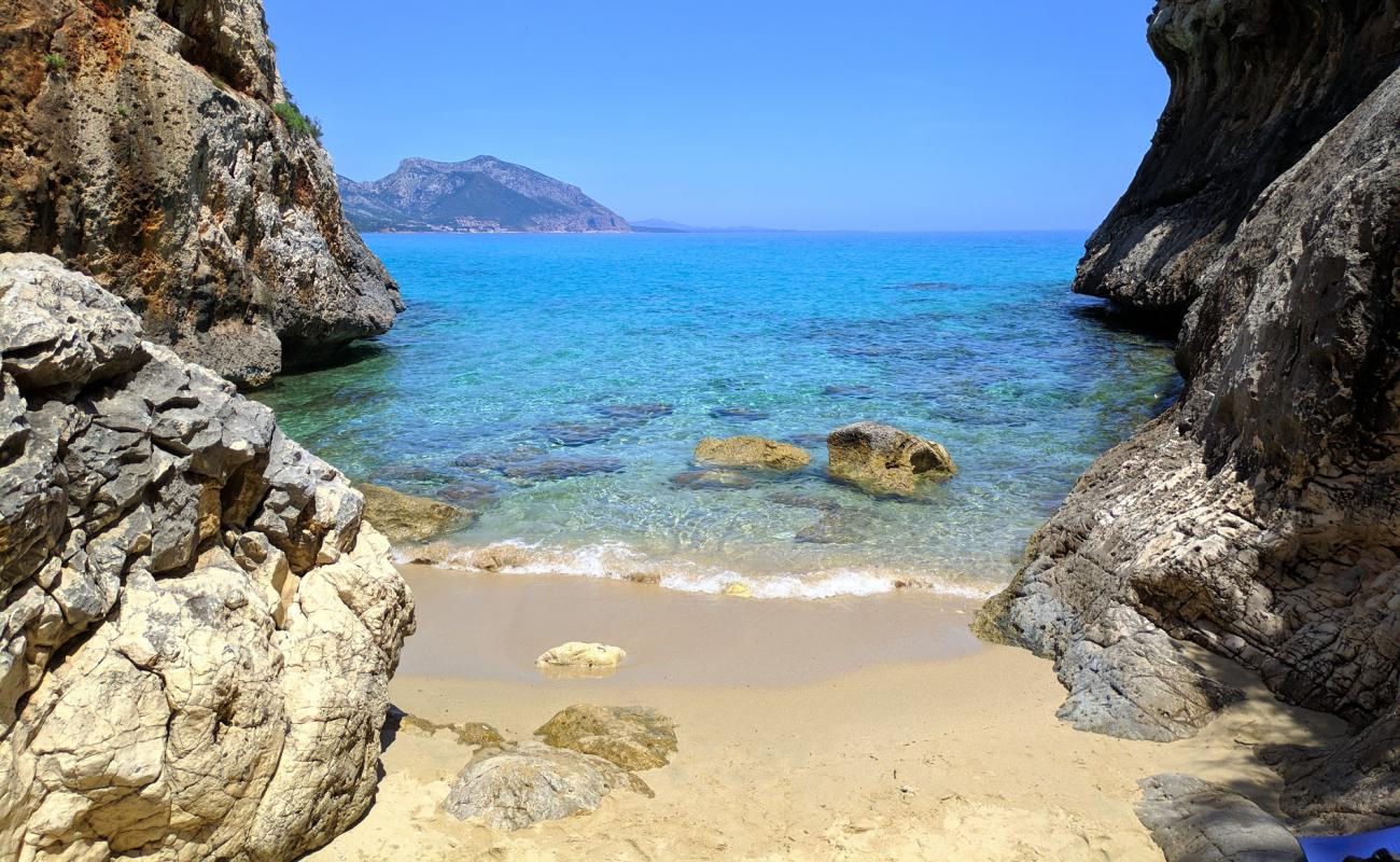 Cala di Oddoana'in fotoğrafı parlak ince kum yüzey ile