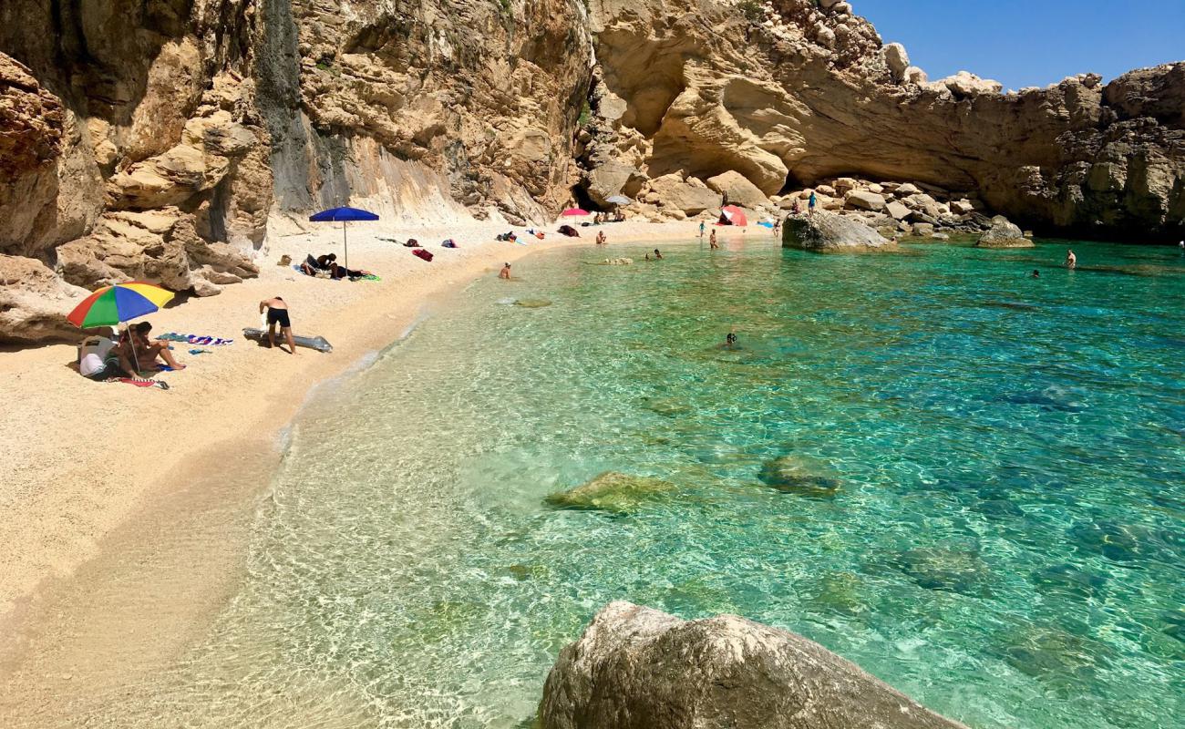 Pools of Venus'in fotoğrafı beyaz ince çakıl yüzey ile