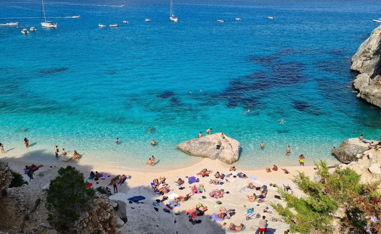 Cala Goloritze'in fotoğrafı beyaz ince çakıl yüzey ile