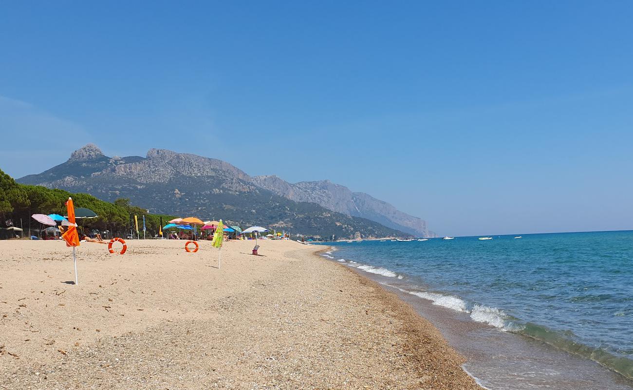 Lido delle Rose'in fotoğrafı parlak kum yüzey ile