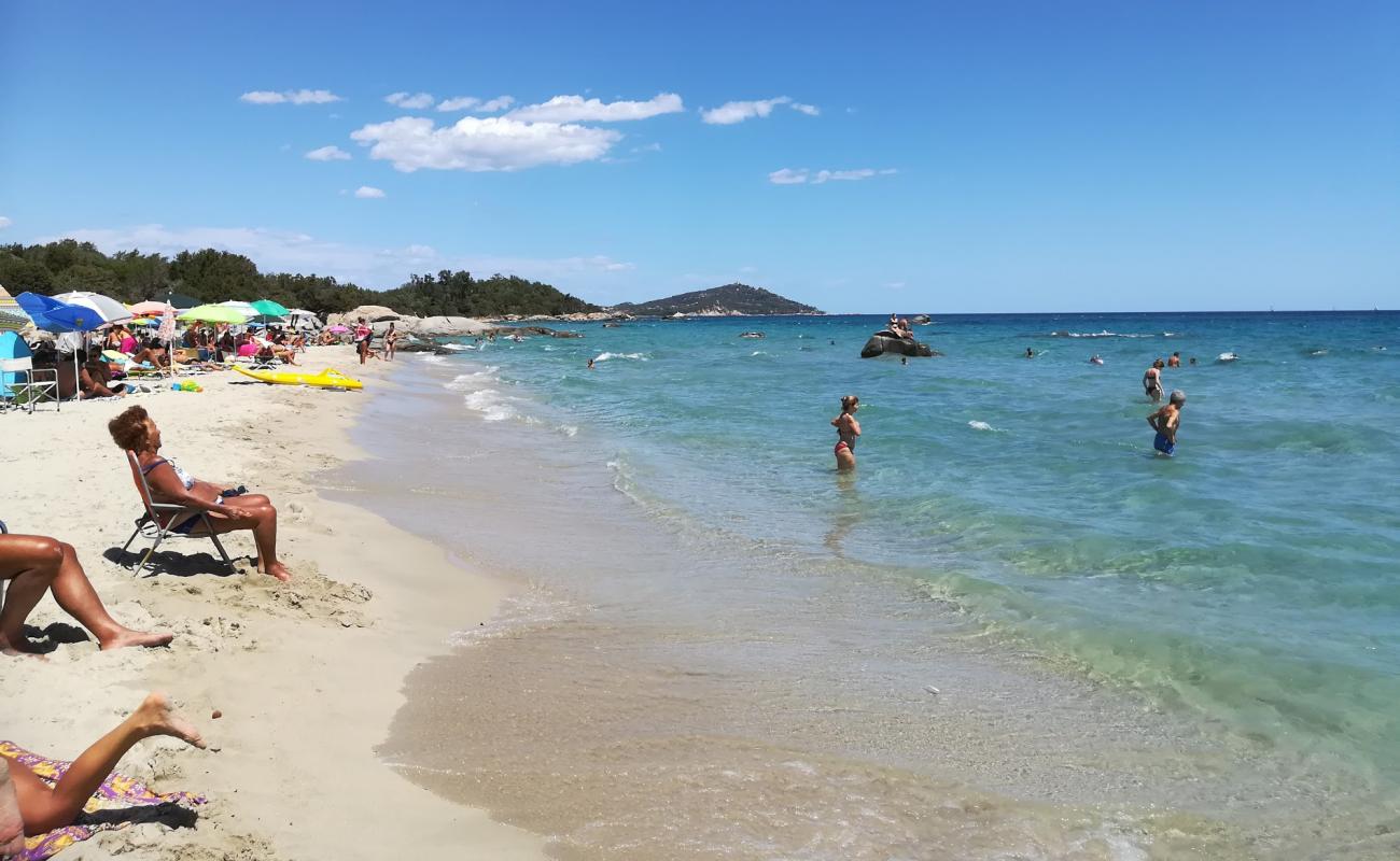 Spiaggia di Musculedda'in fotoğrafı parlak kum yüzey ile