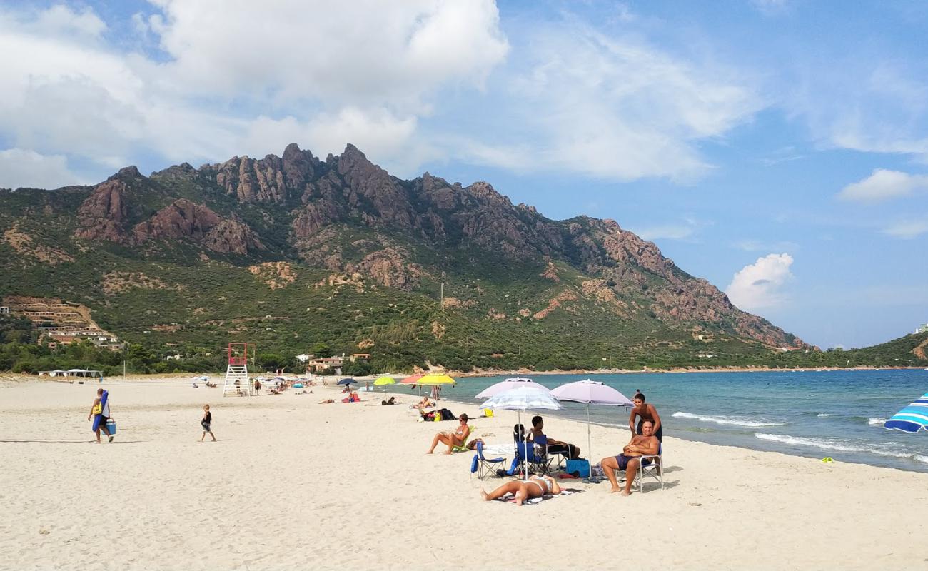 Spiaggia di Foxi Manna'in fotoğrafı i̇nce bej kum yüzey ile
