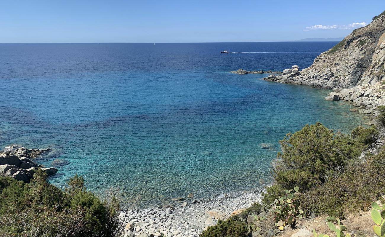 Cala Delfino Beach'in fotoğrafı taşlar yüzey ile