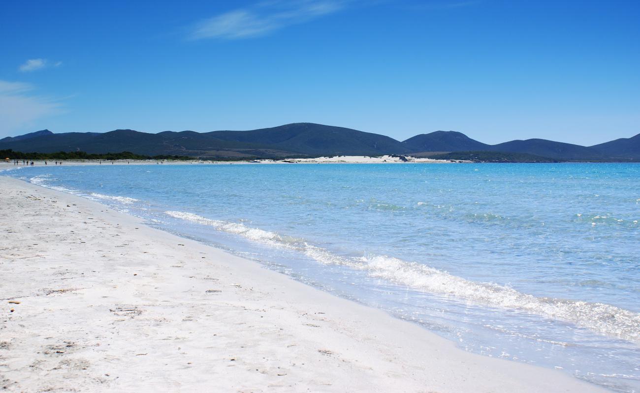 Porto Pino Plajı'in fotoğrafı beyaz ince kum yüzey ile