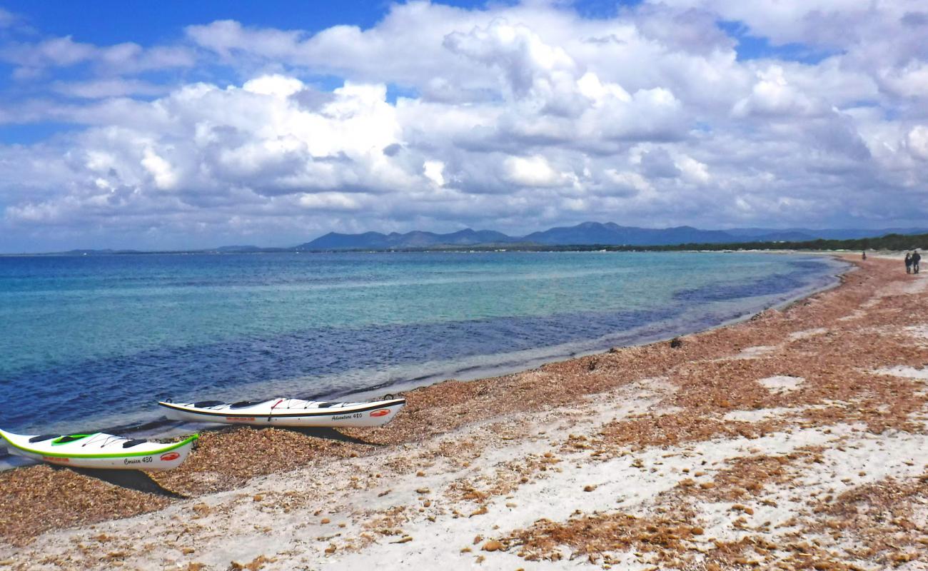 Spiaggia Is Solinas'in fotoğrafı gri kum yüzey ile