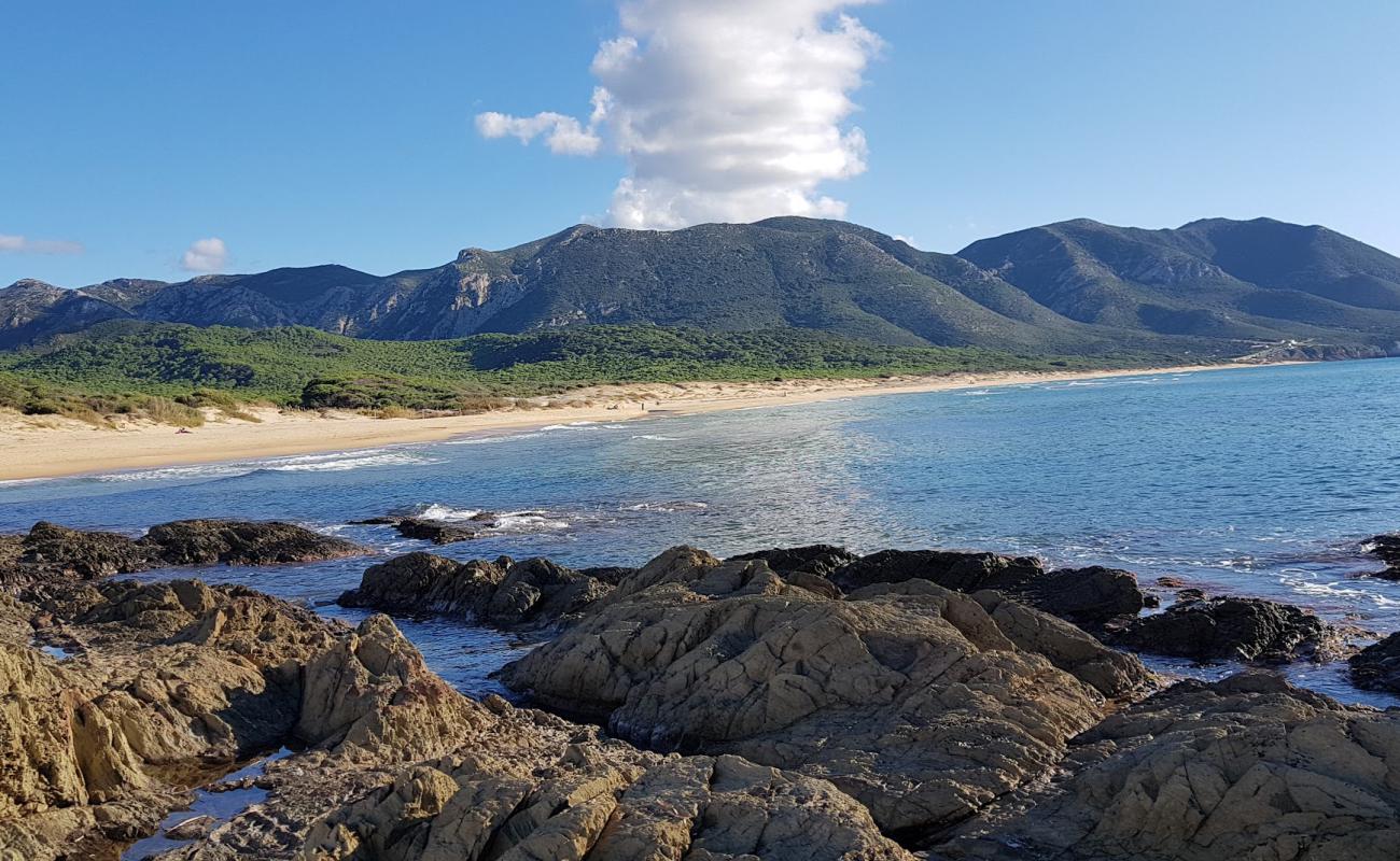 Portixeddu beach'in fotoğrafı parlak ince kum yüzey ile