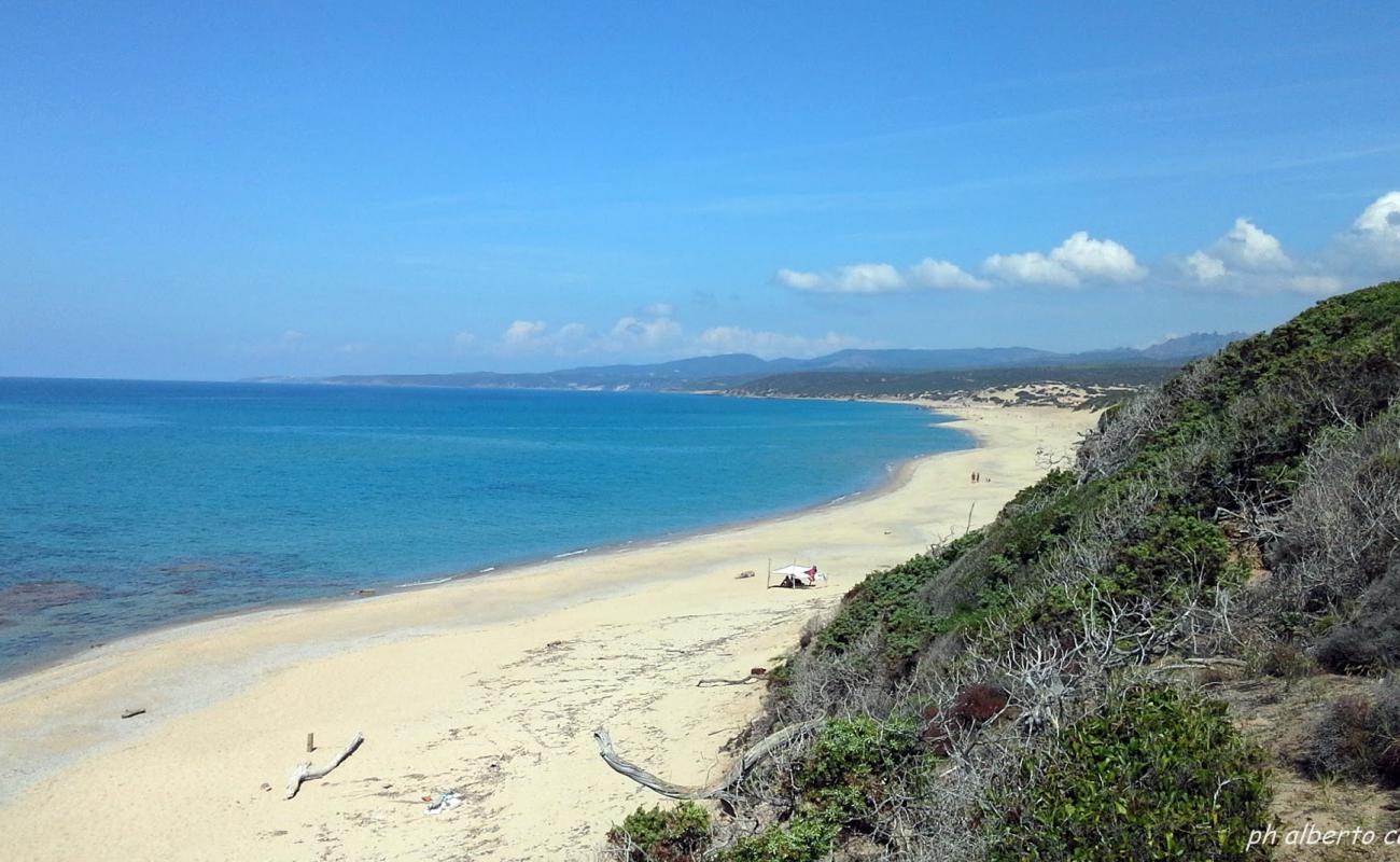 Spiaggia di Tuppa Niedda'in fotoğrafı açık bej kum yüzey ile