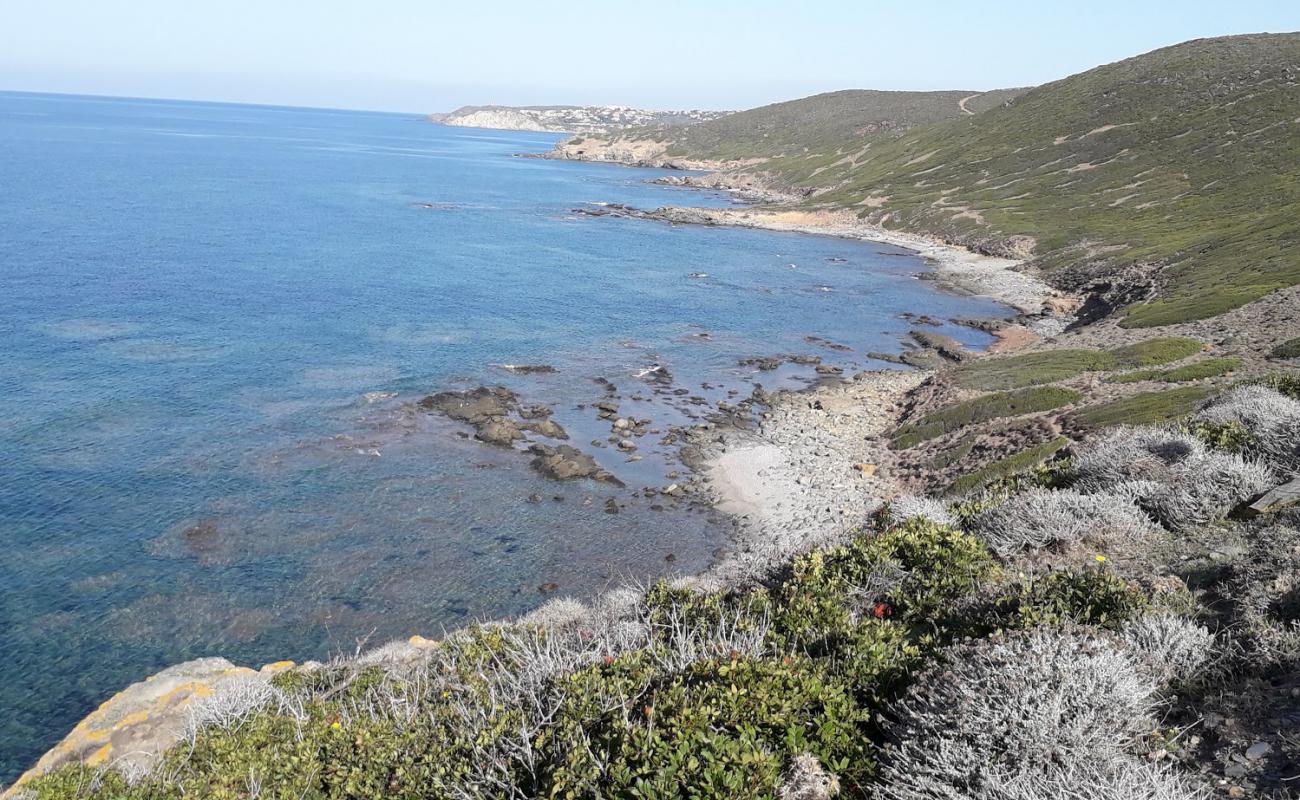 Caletta Babari'in fotoğrafı taşlar yüzey ile