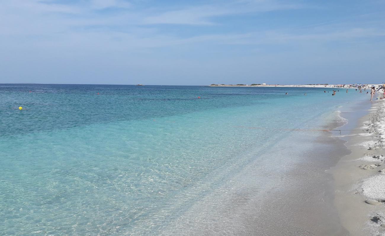 Mari Ermi Plajı'in fotoğrafı beyaz kum yüzey ile