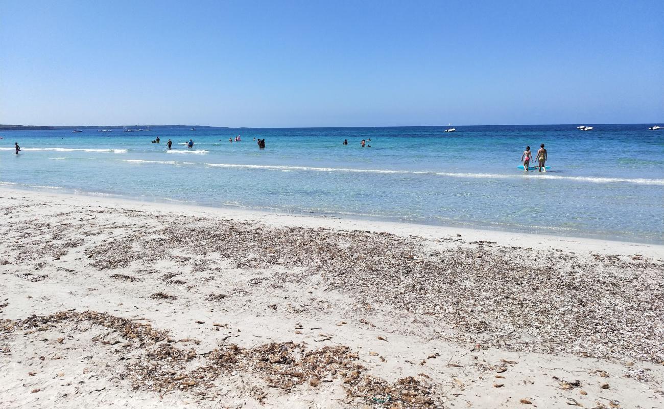 Spiaggia Di Putzu Idu'in fotoğrafı beyaz ince kum yüzey ile