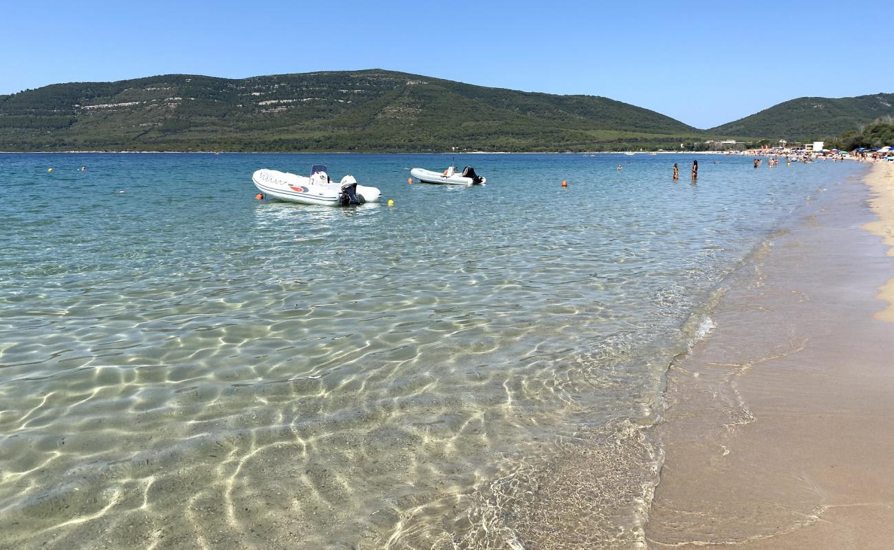 Mugoni Plajı'in fotoğrafı parlak kum yüzey ile