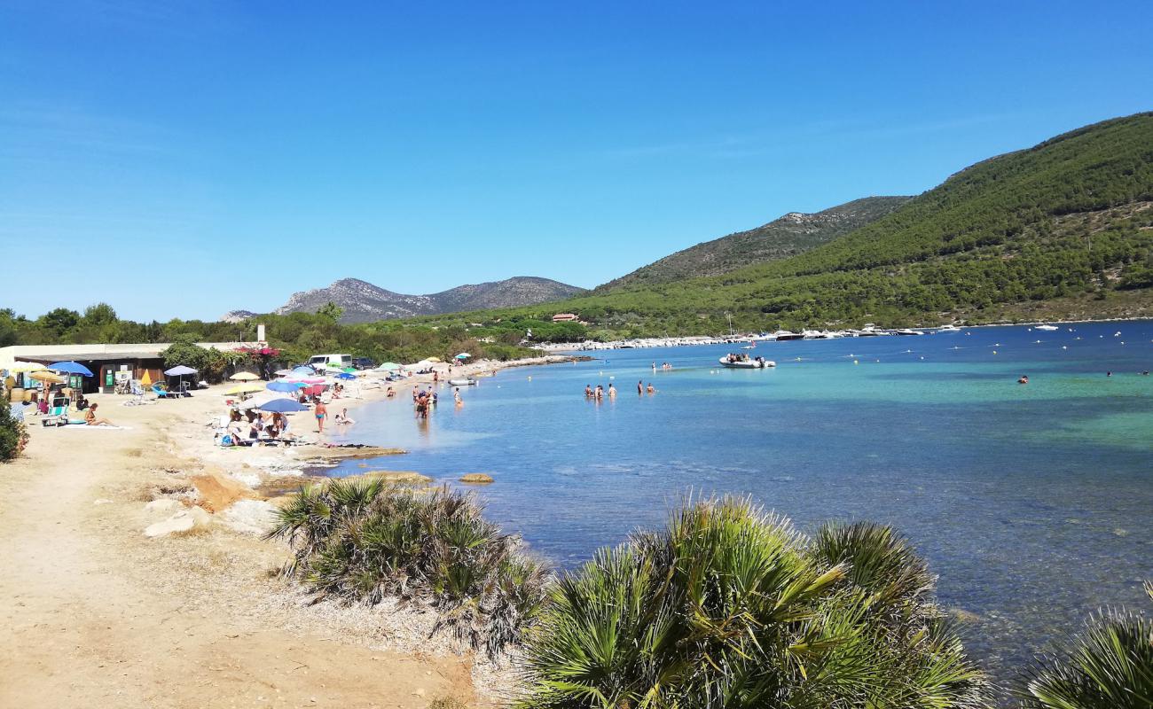 Tramariglio beach'in fotoğrafı parlak kum yüzey ile