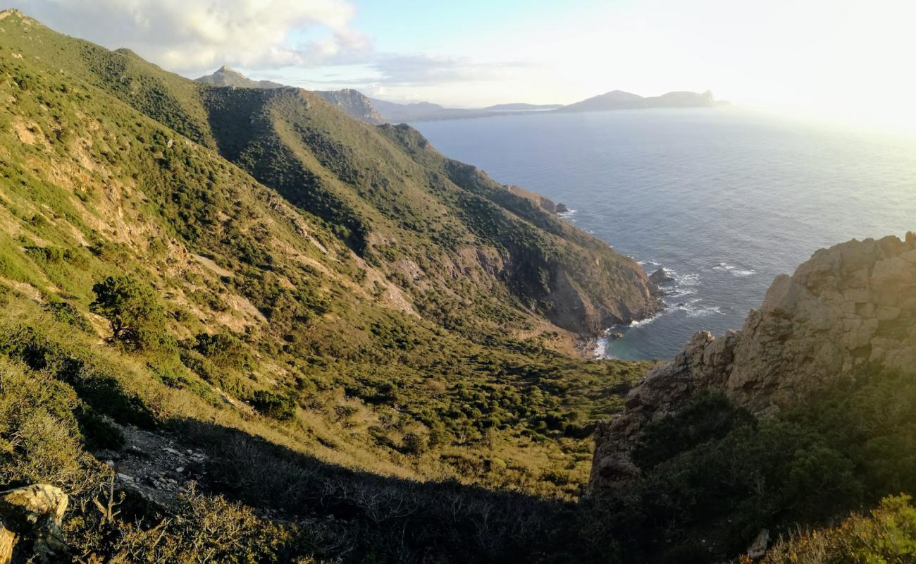 Cala Rocchi di San Nicola'in fotoğrafı taşlı kum yüzey ile