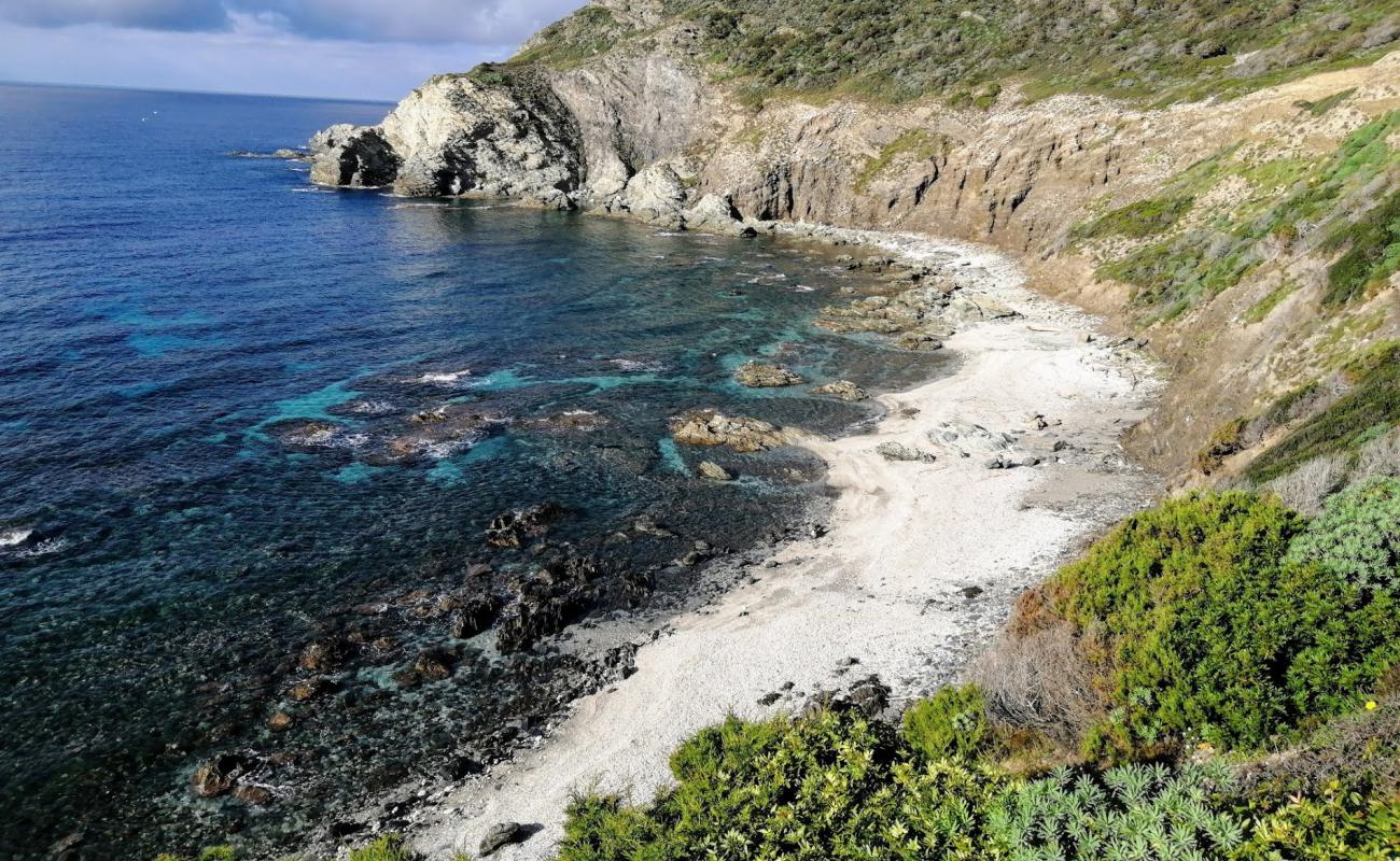 Cala di Punta Agliastroni'in fotoğrafı bej çakıl yüzey ile