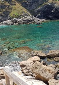 Biancareddu
