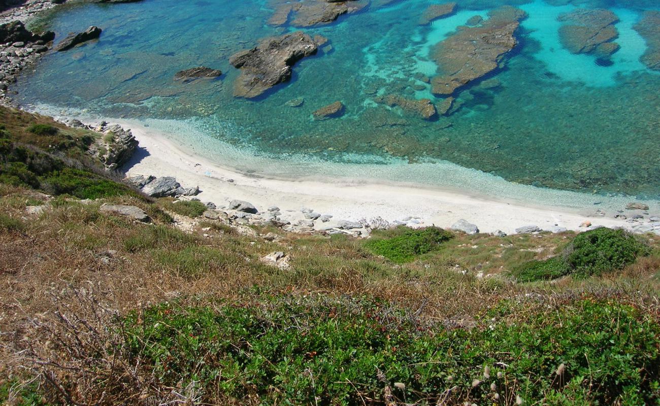 Cala Puntello'in fotoğrafı küçük bej çakıl yüzey ile