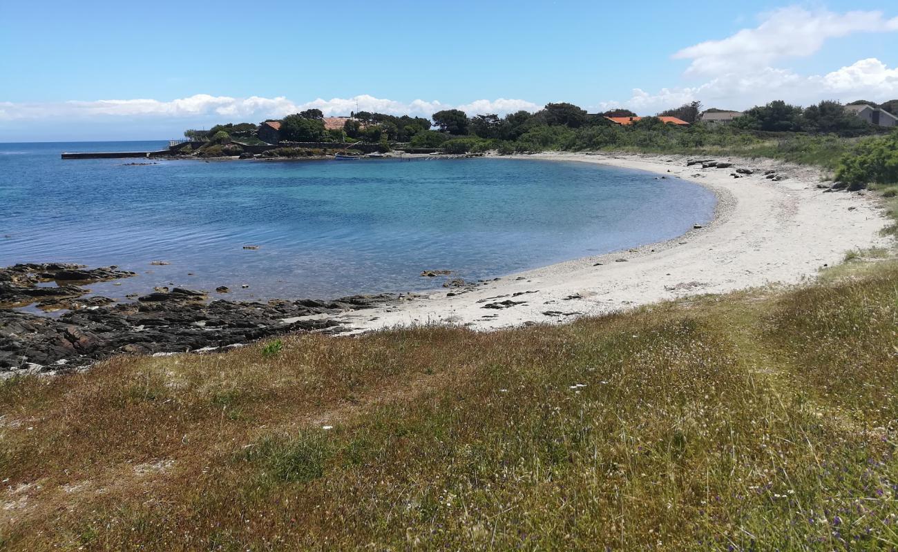 Tamerici beach'in fotoğrafı çakıl ile kum yüzey ile