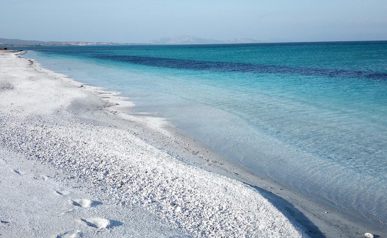 Pazzona Plajı'in fotoğrafı küçük beyaz çakıllar yüzey ile