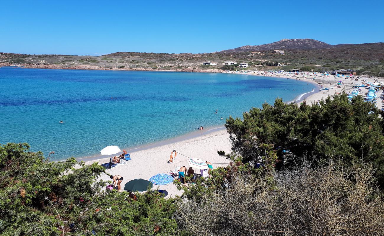 La Marinedda Plajı'in fotoğrafı parlak ince kum yüzey ile