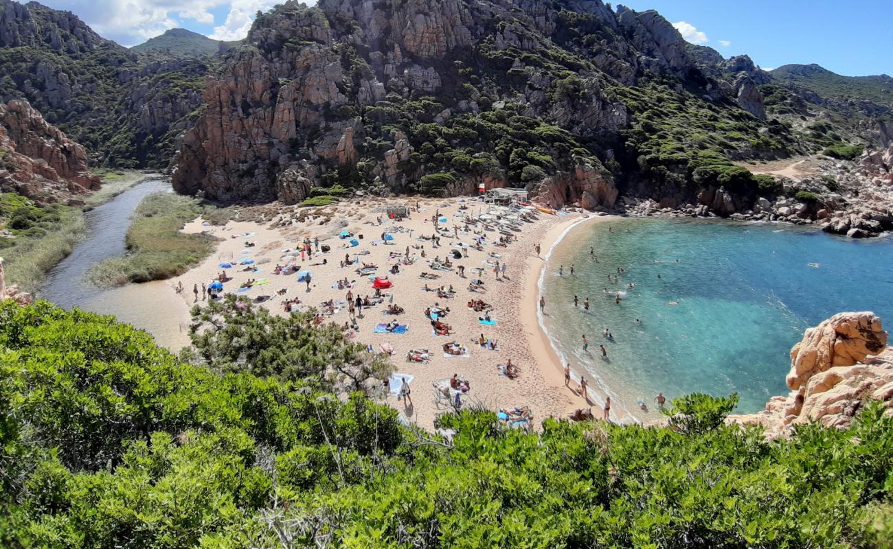 Spiaggia Li Cossi'in fotoğrafı parlak kum yüzey ile