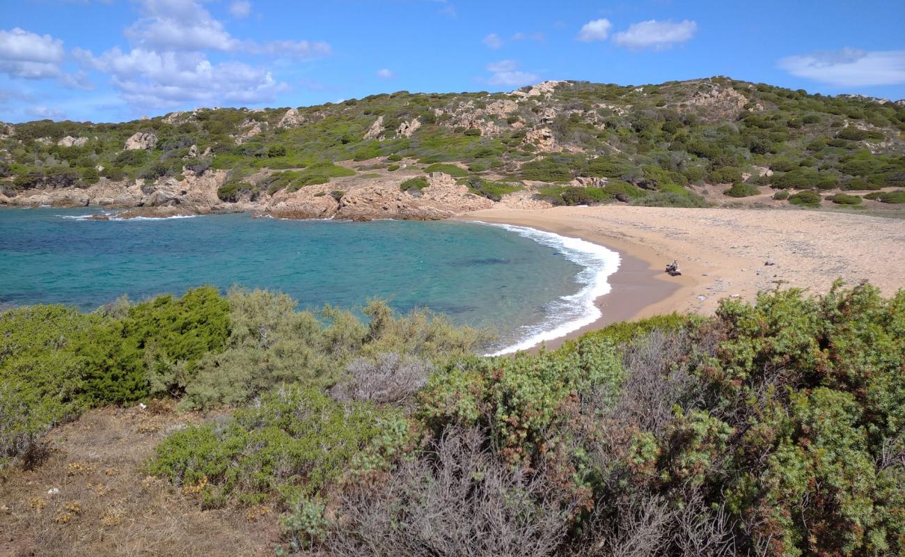 Spiaggia La Niculina'in fotoğrafı açık bej kum yüzey ile