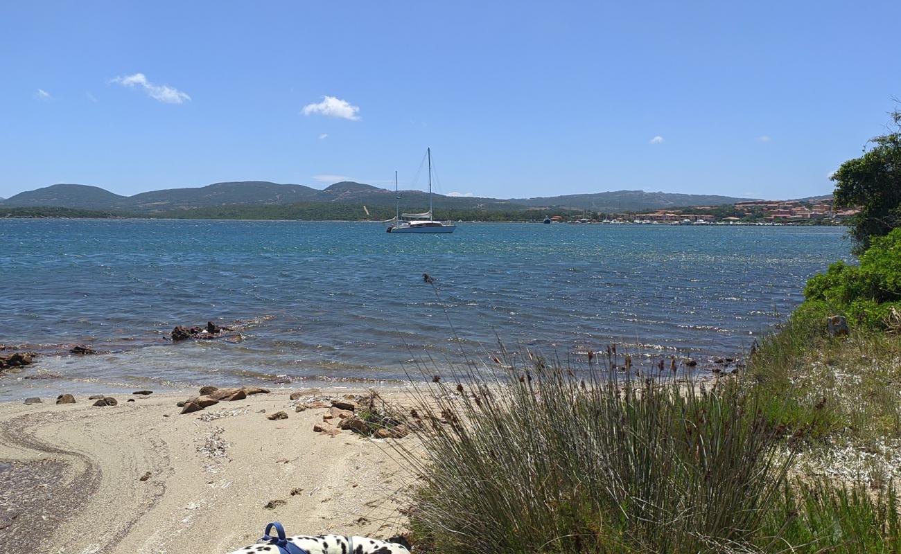 Spiaggia La Conchiglia'in fotoğrafı açık bej kum yüzey ile
