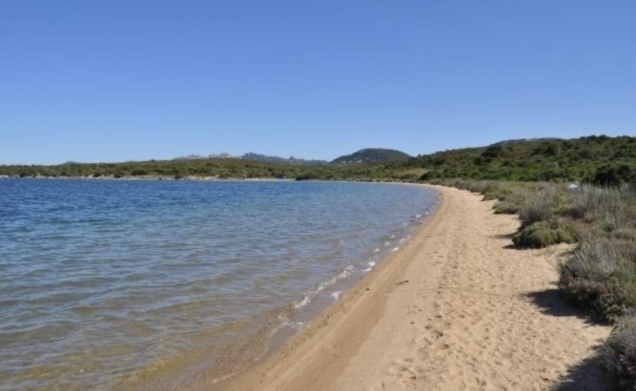 Stagno della Coluccia'in fotoğrafı kahverengi kum yüzey ile