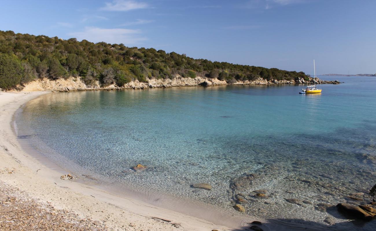 Spiaggia Macchia Mala'in fotoğrafı parlak kum yüzey ile