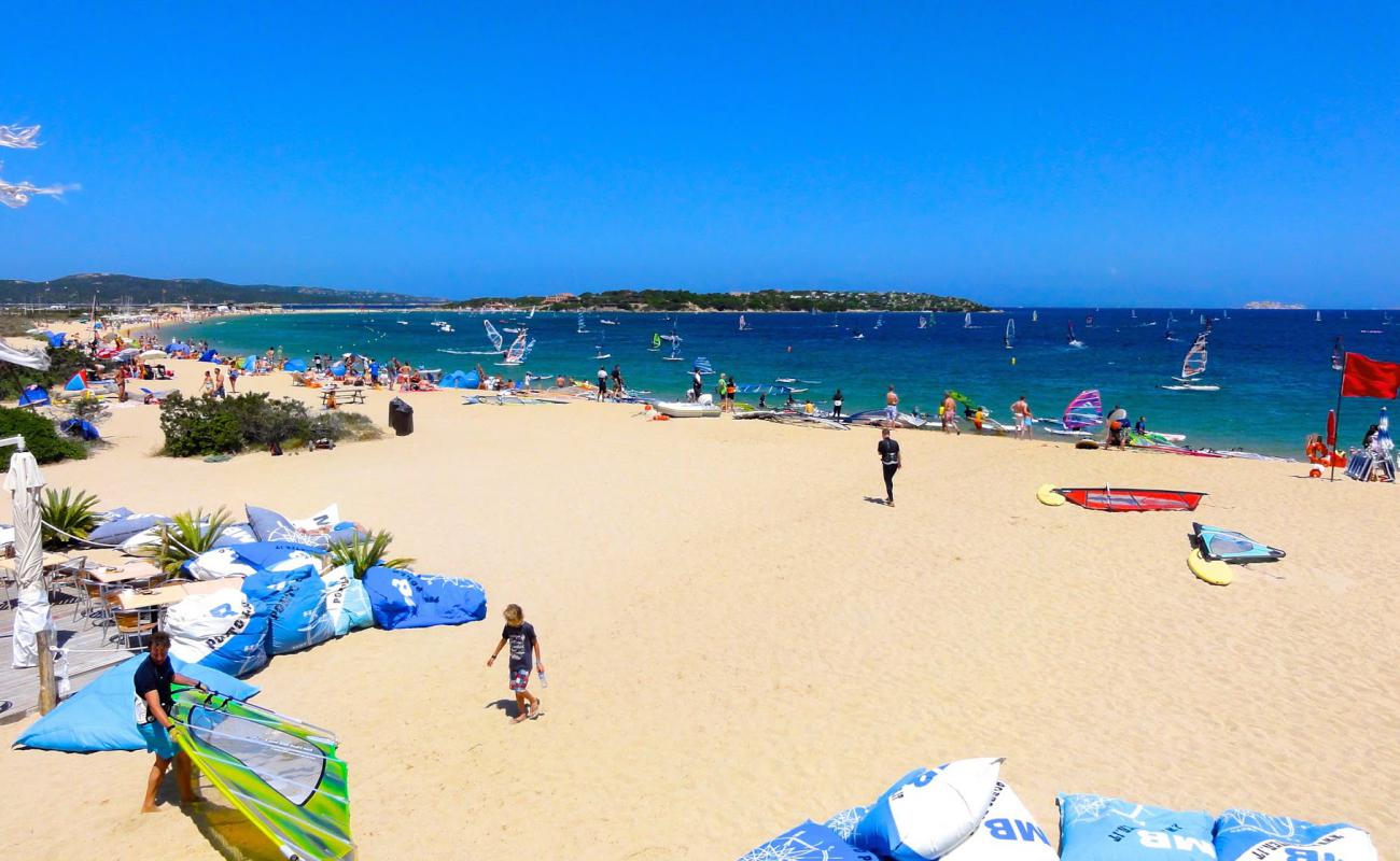 Spiaggia di Porto Pollo'in fotoğrafı açık bej kum yüzey ile