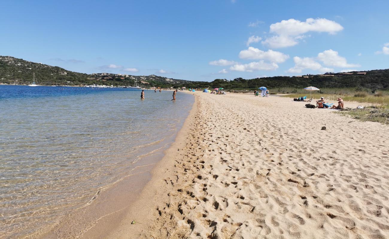 Padula Piatta'in fotoğrafı kahverengi kum yüzey ile