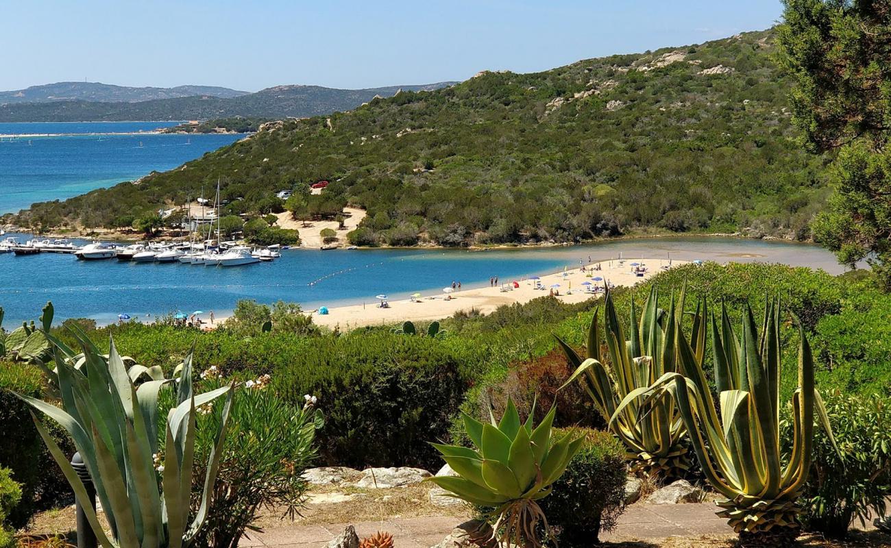 Spiaggia di Costa Serena'in fotoğrafı kahverengi kum yüzey ile