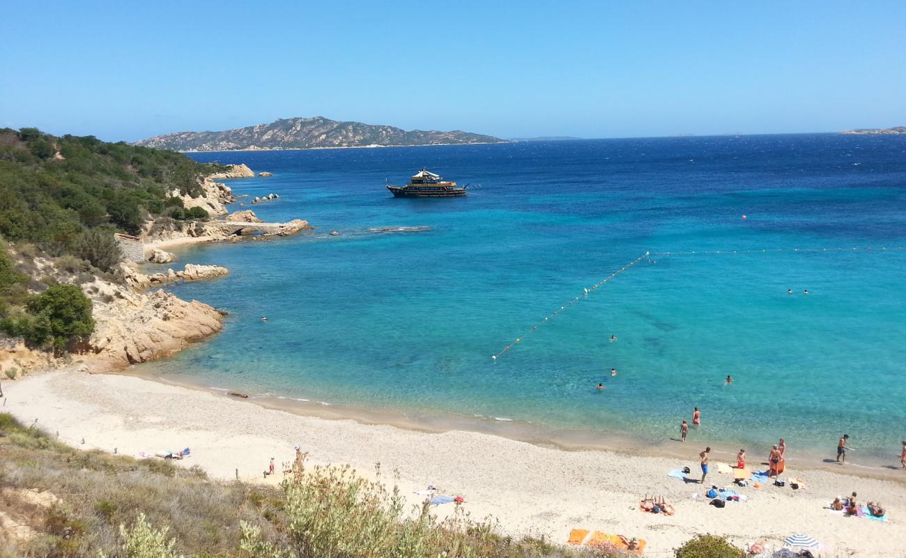 Spiaggia di Cala di Trana'in fotoğrafı kahverengi kum yüzey ile