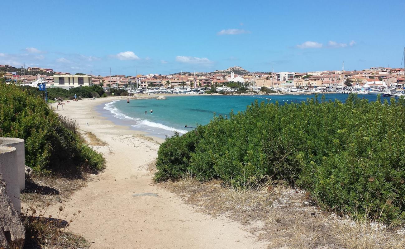 Spiaggia dell'Isolotto'in fotoğrafı kahverengi kum yüzey ile