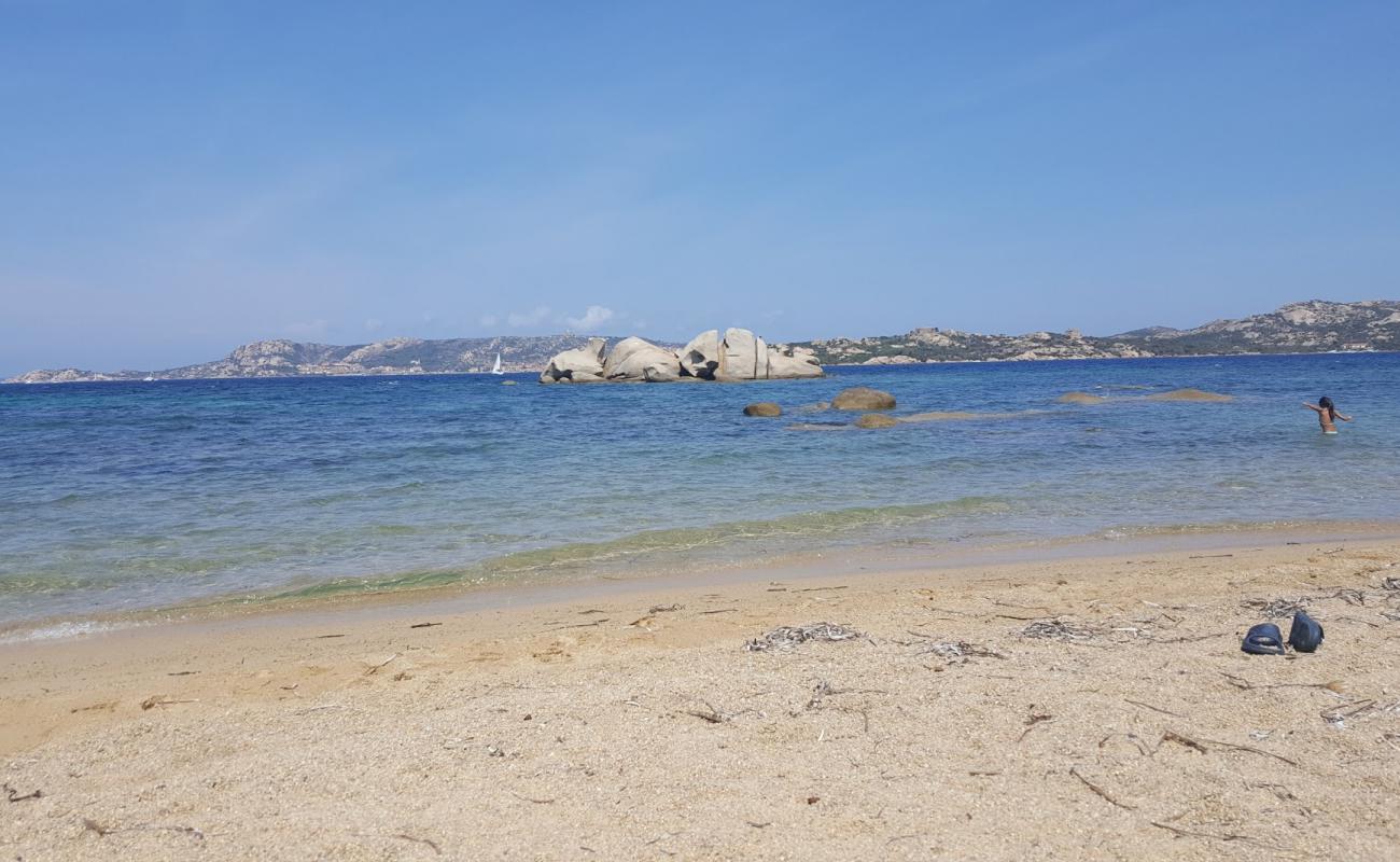 Baia Saraceno'in fotoğrafı küçük bej çakıl yüzey ile