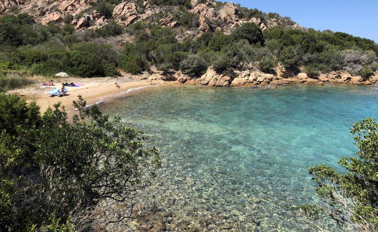 Punta Cardinalino'in fotoğrafı açık bej kum yüzey ile