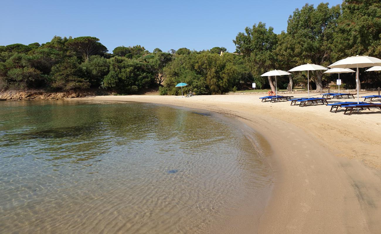 Spiaggia di Cala Capra'in fotoğrafı parlak ince kum yüzey ile