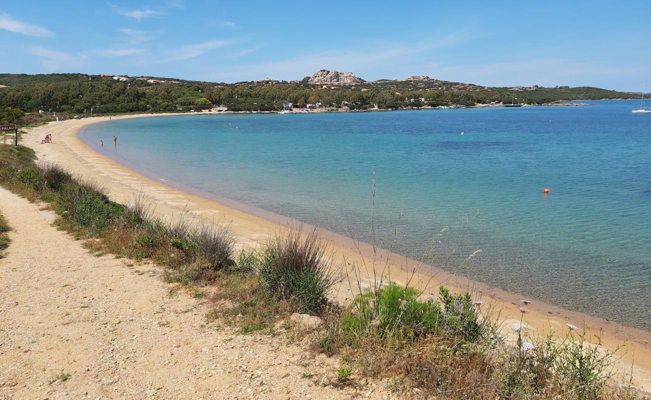 Spiaggia del Golfo delle Saline'in fotoğrafı açık bej kum yüzey ile
