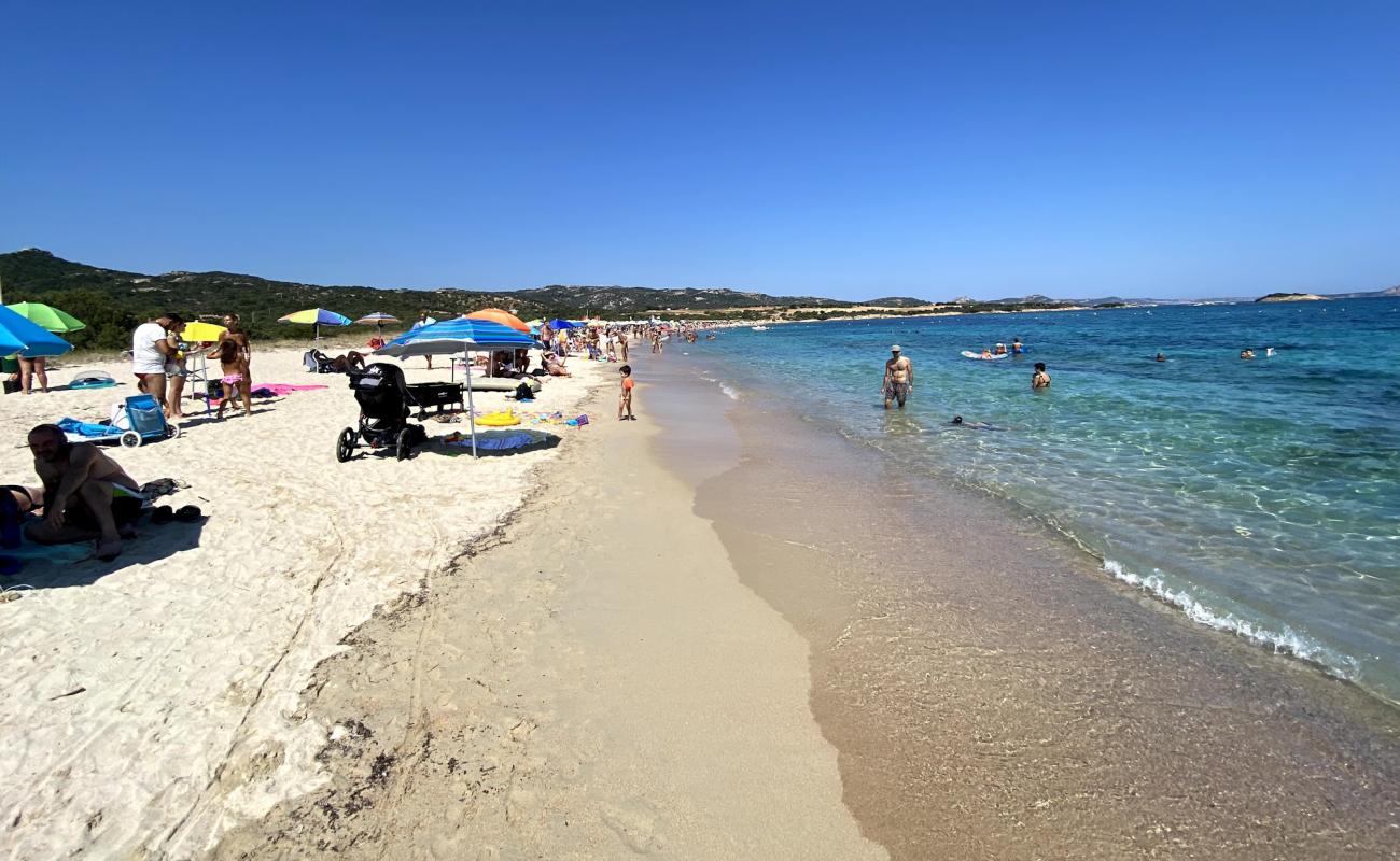 Tanca Manna Plajı'in fotoğrafı parlak ince kum yüzey ile