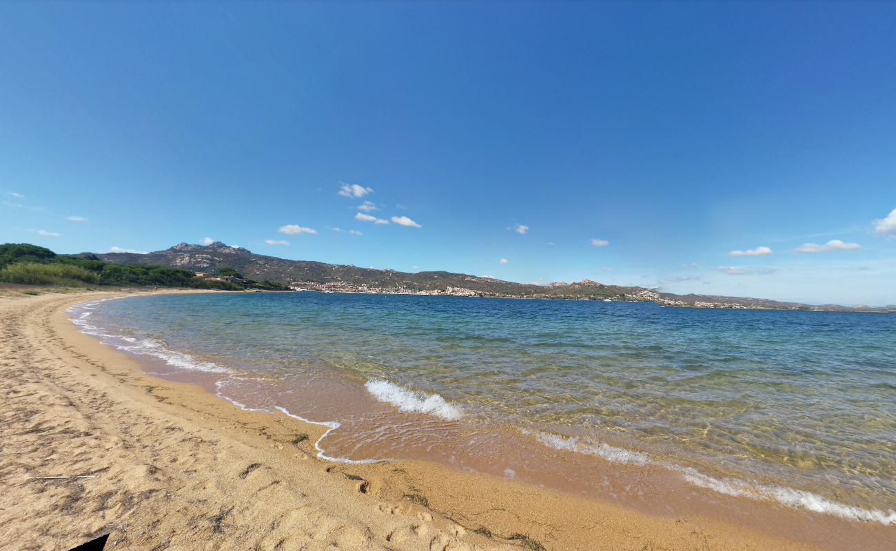 Dog Beach'in fotoğrafı mavi sular yüzey ile