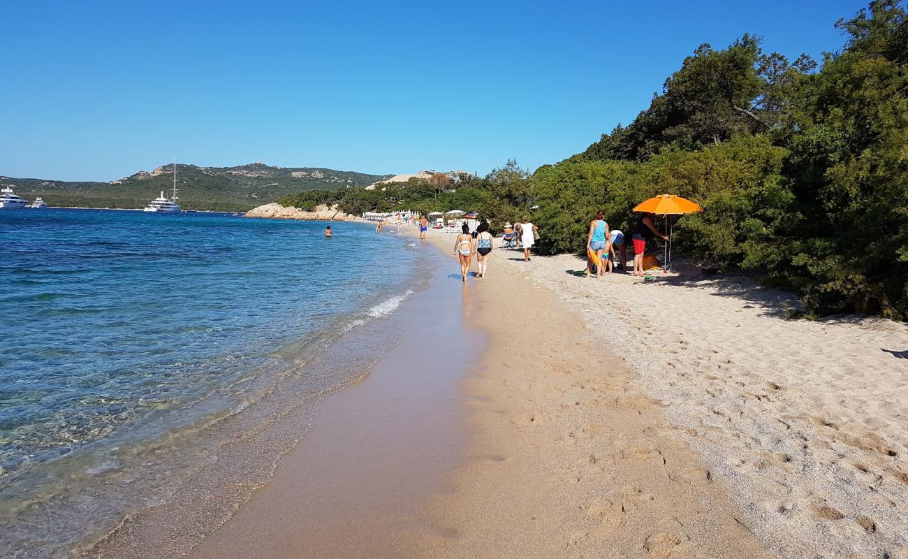 Spiaggia La Celvia'in fotoğrafı hafif ince çakıl taş yüzey ile