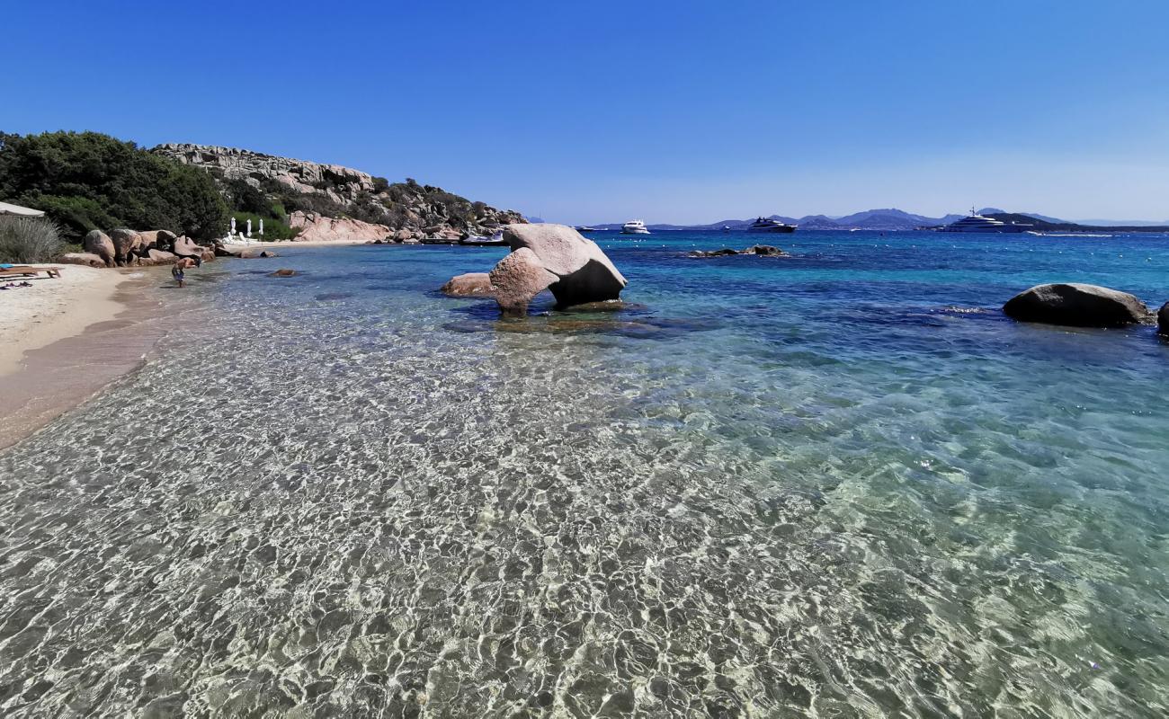 Spiaggia dell'Elefante'in fotoğrafı parlak kum yüzey ile