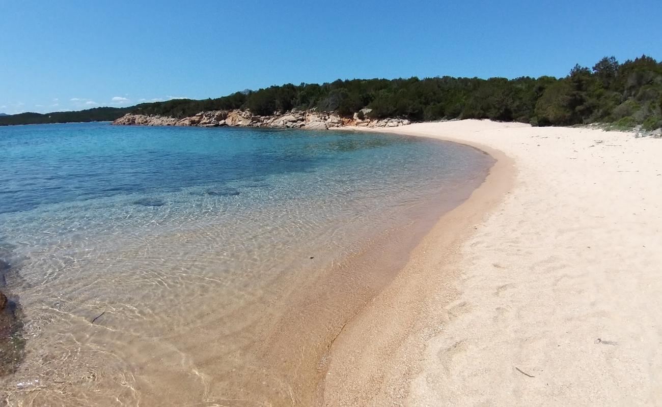 Piccola Lisciaruja Plajı'in fotoğrafı parlak kum yüzey ile