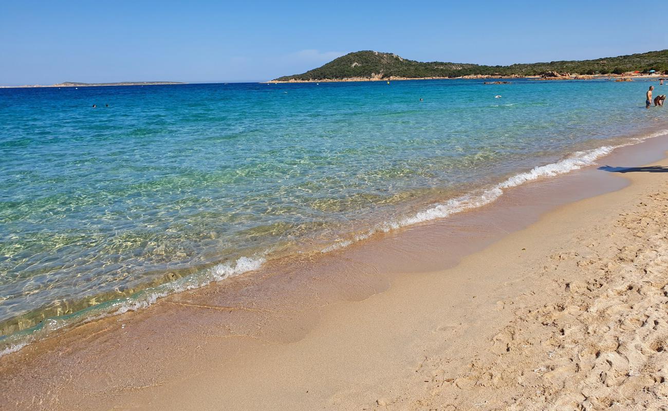 Liscia Ruja Plajı'in fotoğrafı parlak ince kum yüzey ile