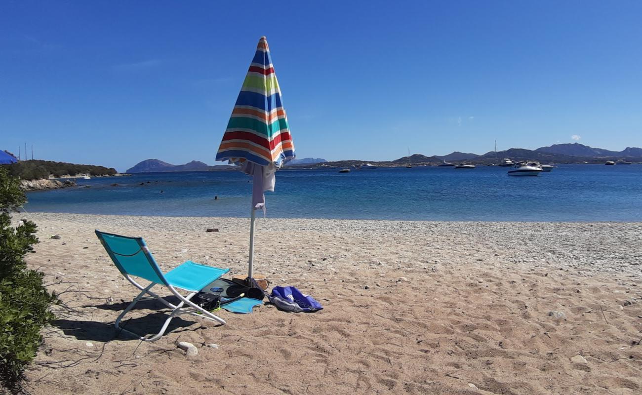 Razza di Junco'in fotoğrafı çakıl ile kum yüzey ile