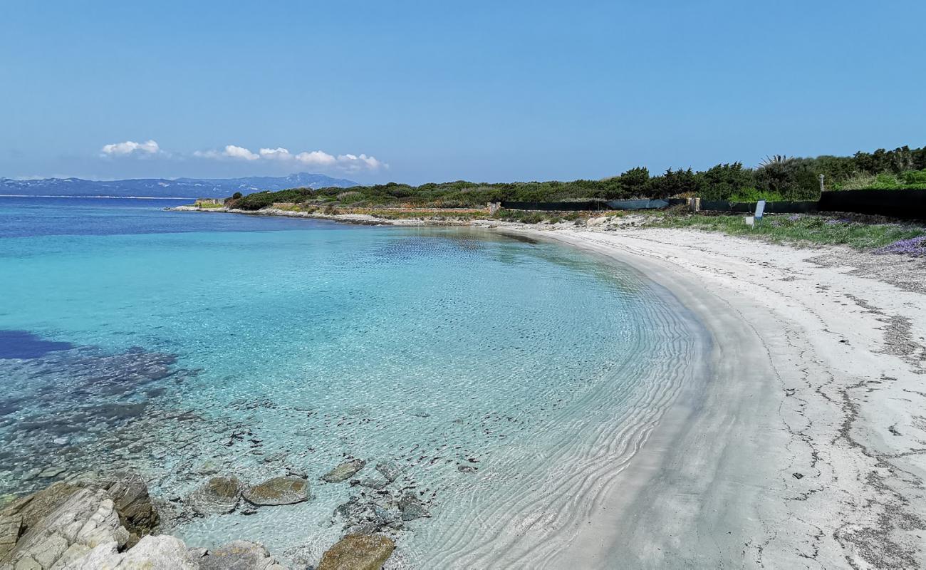 Spiaggia Hruska'in fotoğrafı açık bej kum yüzey ile