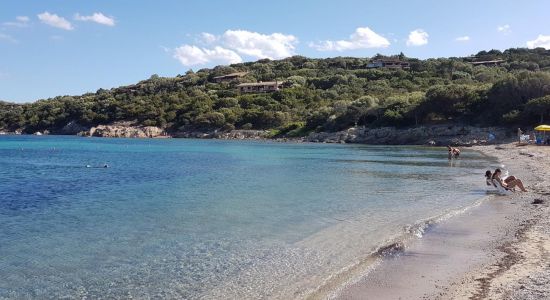 Spiaggia Alghe