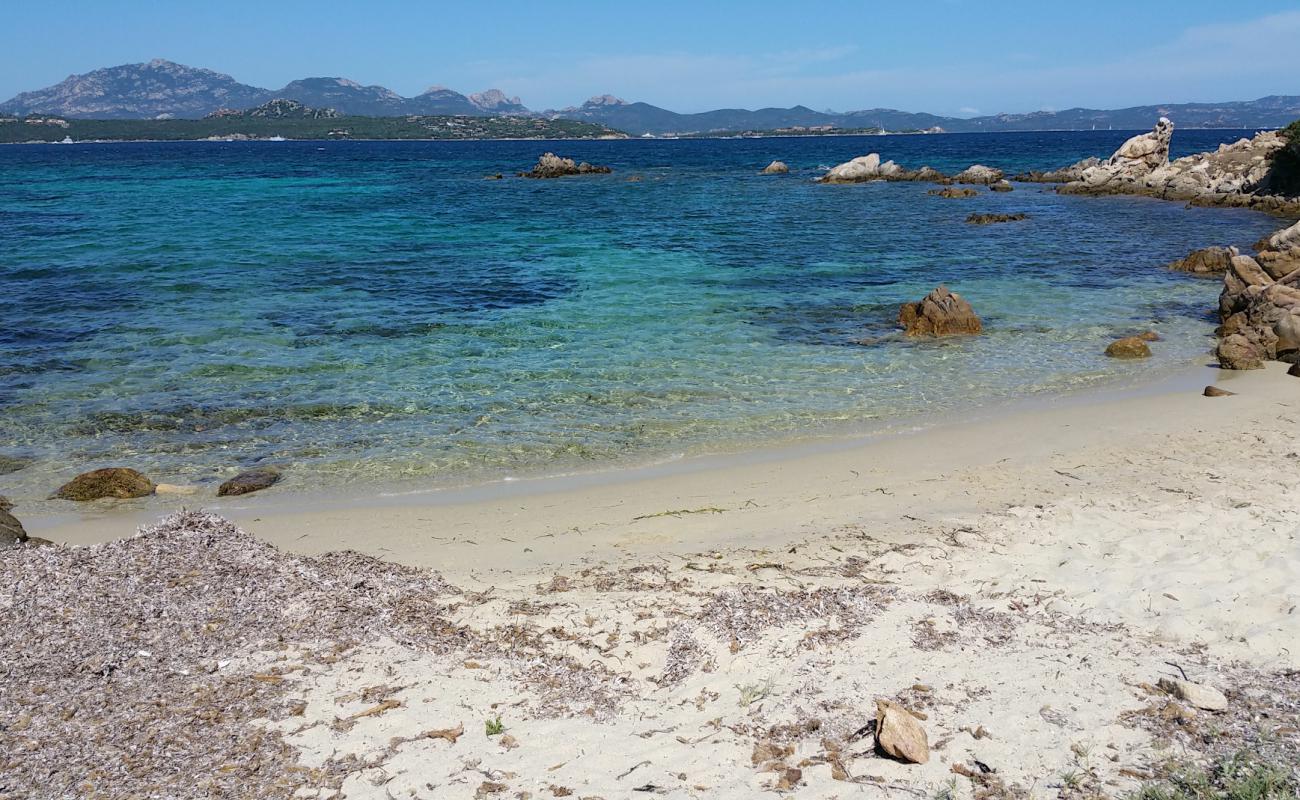 Caletta delle Tartarughe'in fotoğrafı açık bej kum yüzey ile